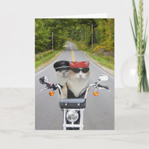 Funny Biker Cats Valentine/Anniversary Holiday Card