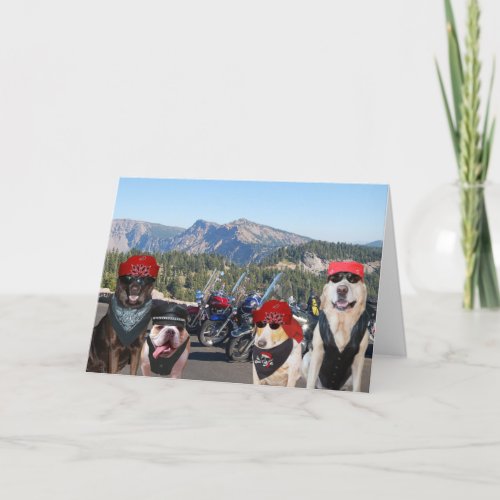 Funny Biker Dogs on a Mountain Birthday Card