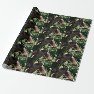 Funny Billy Goat Portrait Wrapping Paper