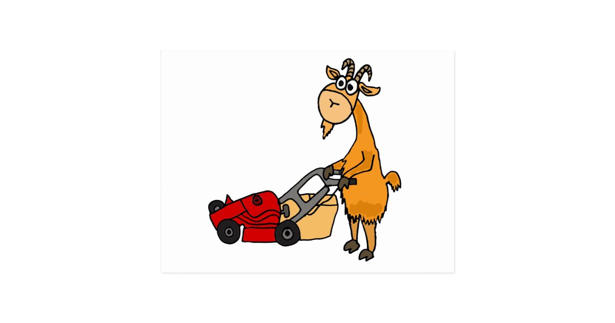 Funny Billy Goat Pushing Lawn Mower Cartoon Postcard | Zazzle.com