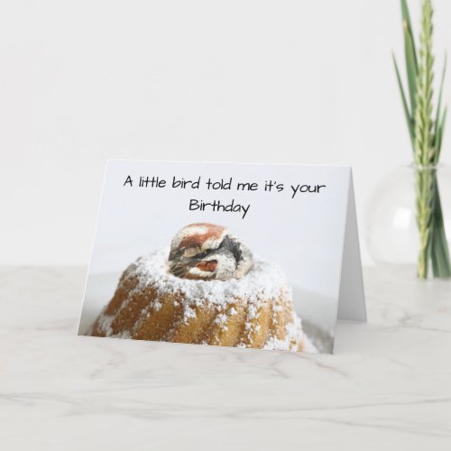 Funny bird birthday card