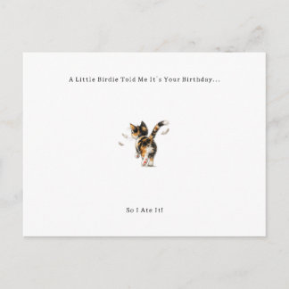 Funny Bird Cat Birthday Card. Holiday Postcard
