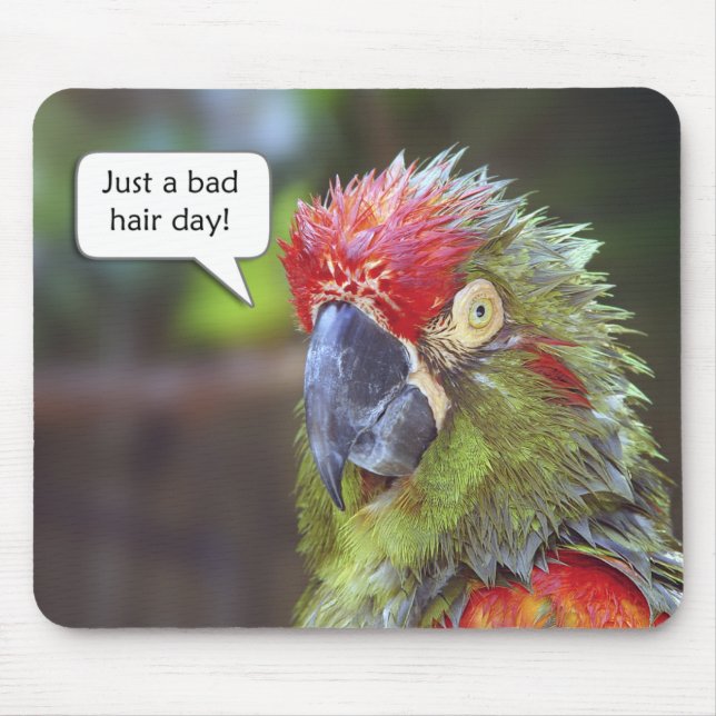 Funny Bird Mousepad (Front)