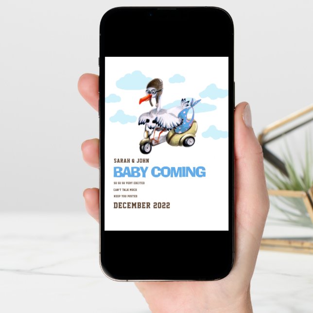 Funny Bird Simple Cute Modern Boy Pregnancy Announcement (Front Digital)