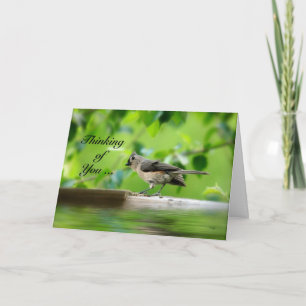 Funny Bird - Thinking of You Card