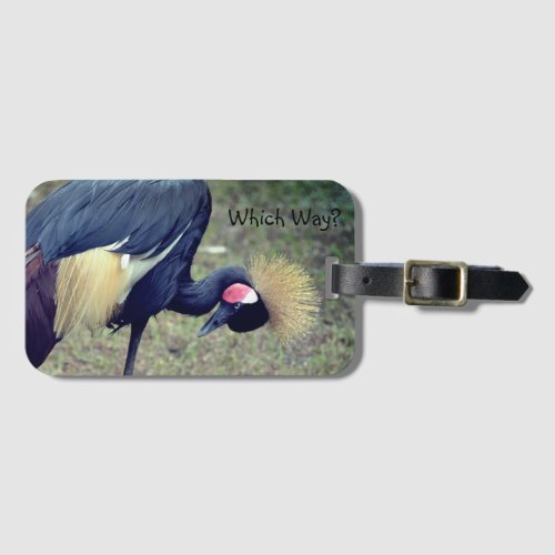 Funny Bird Which Way Luggage Tag