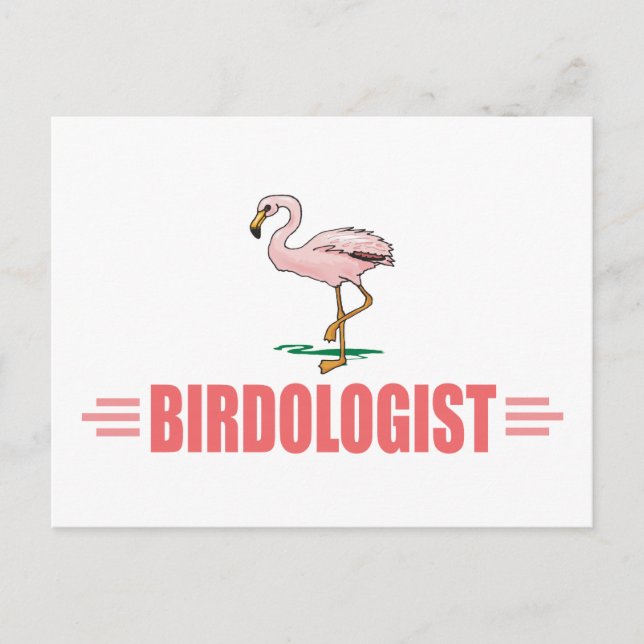 Funny Birding Flamingo Postcard (Front)