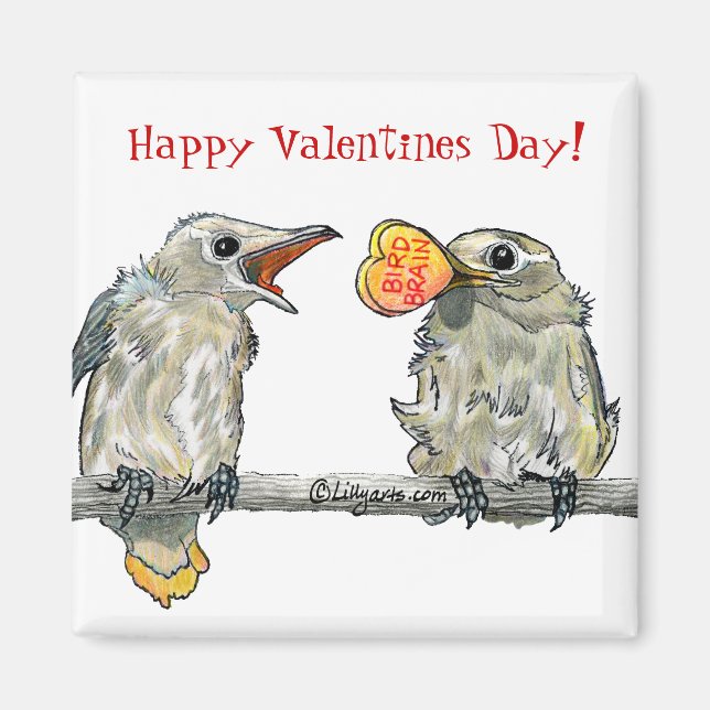 Funny Birds Happy Valentines Day Magnet (Front)