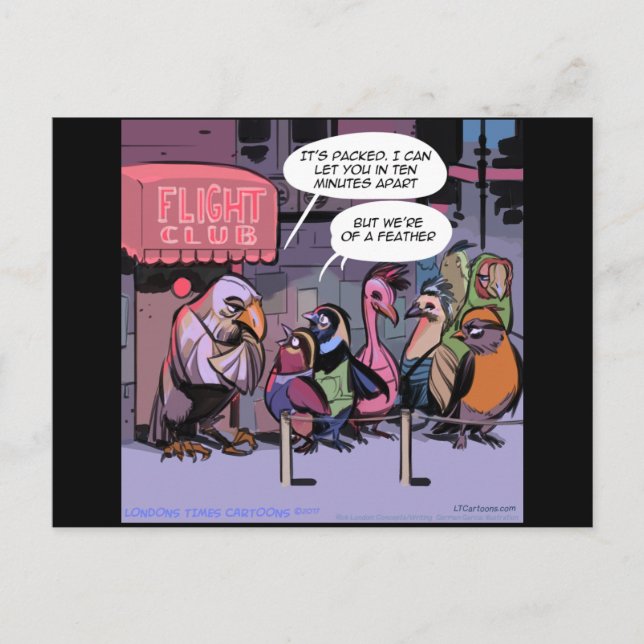 Funny Birds Of A Feather Postcard (Front)