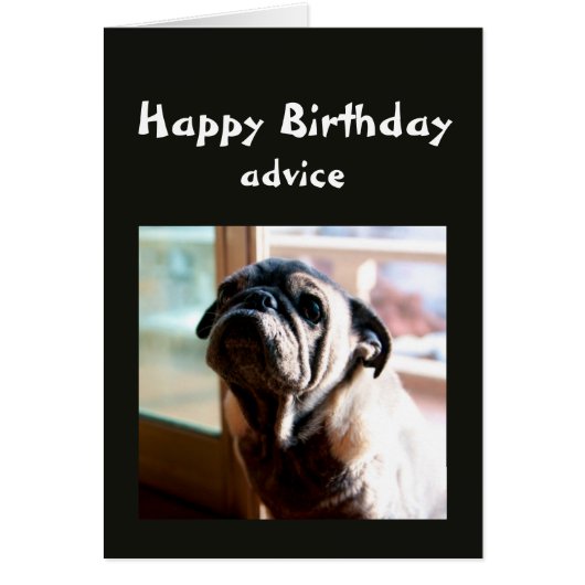 Funny Birthday Advice about Lighting from Pug Dog Cards (Front)