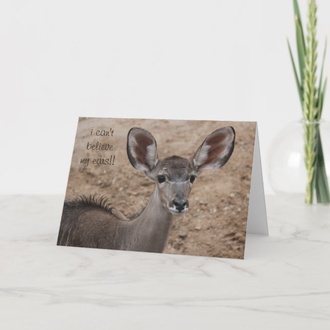 funny birthday antelope, can't believe my ears! card (Front)