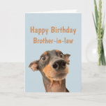 Funny Birthday Brother-in-law Shocked Dog Animal Card<br><div class="desc">Have so much fun on your Birthday that your pet gets worried.  Happy Birthday for Brother-in-law with humorous verse inside and shocked looking dog</div>