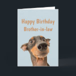 Funny Birthday Brother-in-law Shocked Dog Animal Card<br><div class="desc">Have so much fun on your Birthday that your pet gets worried.  Happy Birthday for Brother-in-law with humorous verse inside and shocked looking dog</div>
