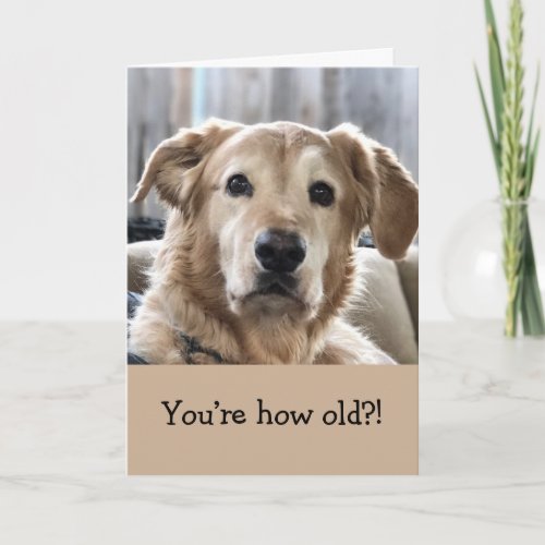 Funny Birthday Card