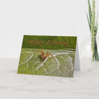 Funny birthday card