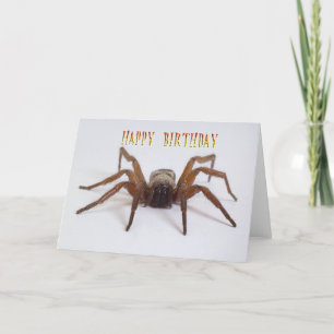 Funny birthday card