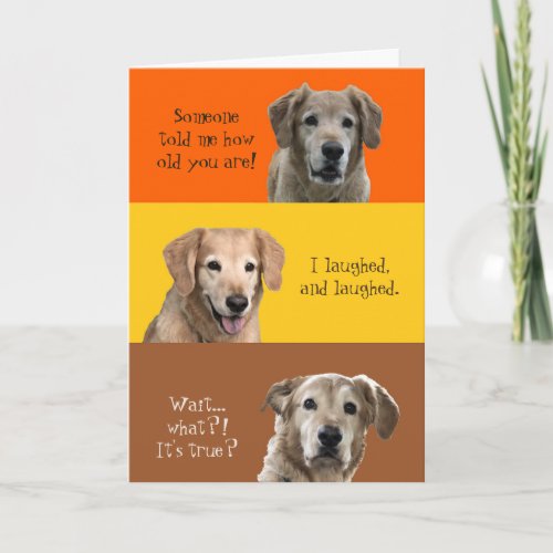 Funny Birthday Card