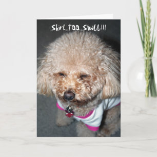 Funny Birthday Card