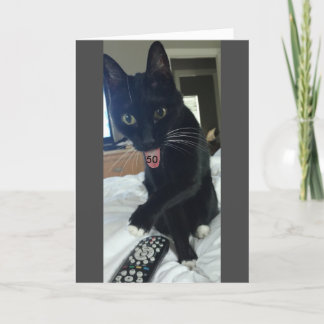 Funny birthday card 50th cat