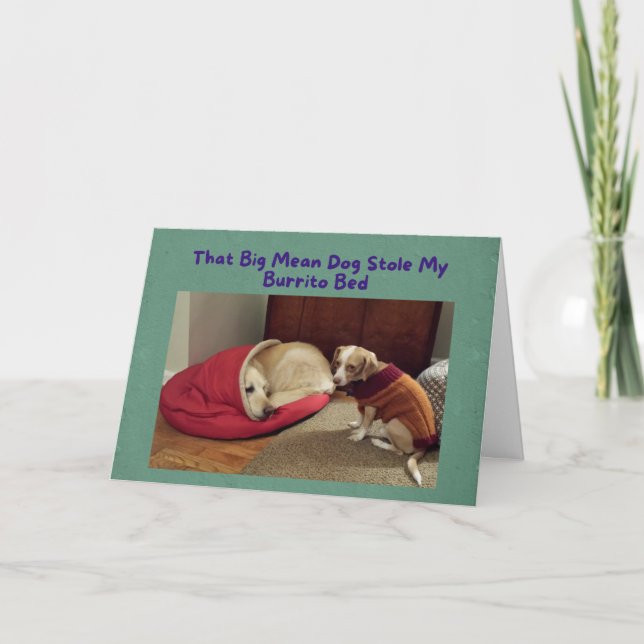 Funny Birthday Card Big Dog in Little Dog Bed (Front)