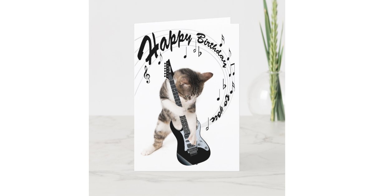 Funny birthday card cat with guitar | Zazzle.com