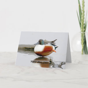 Funny birthday card featuring Shoveler duck