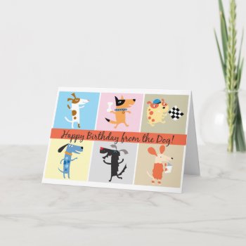 Funny Birthday Card From The Dog by DoggieAvenue at Zazzle