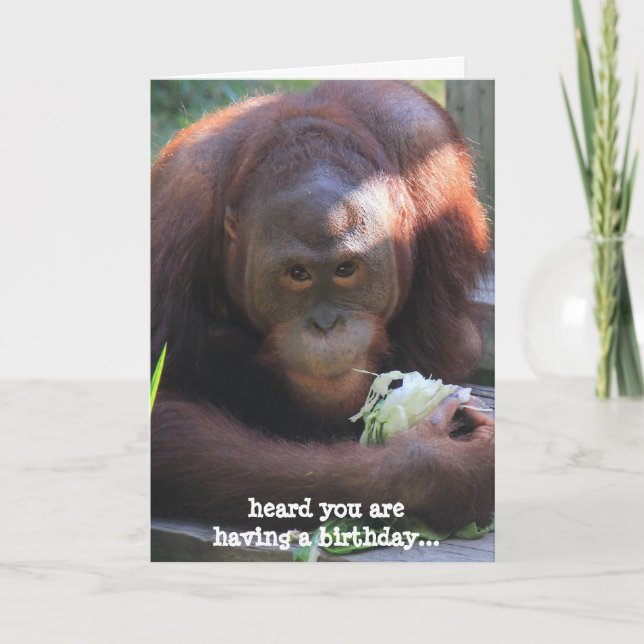 Funny Birthday Card, Orangutan wants cake! Card (Front)