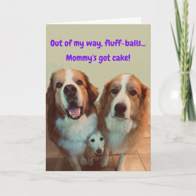 Funny Birthday Card Short Dog with Fluffy Dogs (Front)