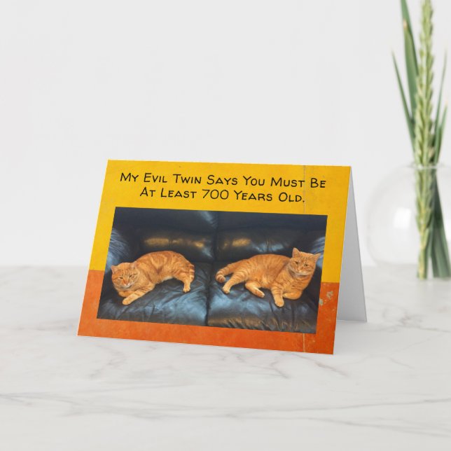 Funny Birthday Card Twin cats think you're old (Front)