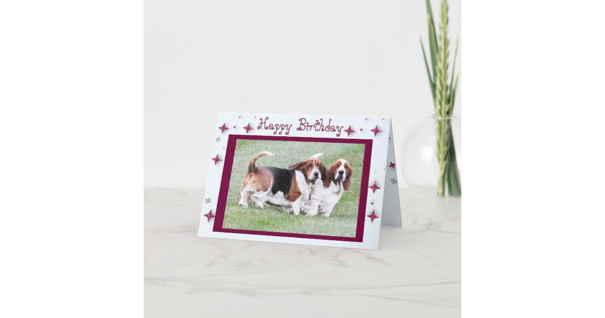 Funny Birthday Card w/Bone, Bassets, & Stars | Zazzle