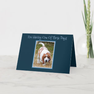 Funny Birthday Card W/Cute Basset Hound & Cake