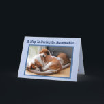 Funny Birthday Card w/Cute Napping Basset Hounds<br><div class="desc">Funny Birthday Card w/Cute Napping Basset Hounds</div>