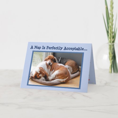 Funny Birthday Card wCute Napping Basset Hounds