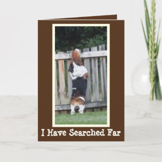 Funny Birthday Card w/Cute Searching Basset Hound