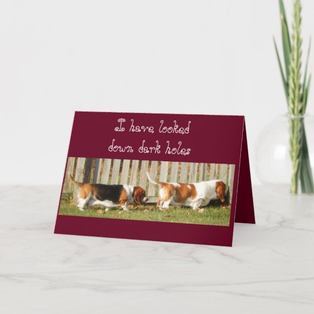 Funny Birthday Card w/Searching Basset Hound (Front)