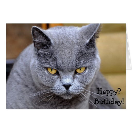 Funny Birthday Card with angry or grumpy cat | Zazzle