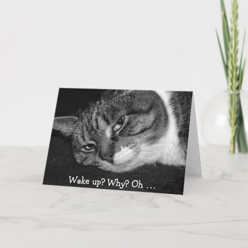 Funny Birthday Card with Cat Wake up Why