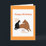 Funny Birthday Card with Dog and Cat.<br><div class="desc">Card for pet lovers,  cat and dog eating the birthday treats. Add text inside.</div>