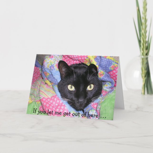 Funny Birthday Card: Wrapped black Cat Card (Front)