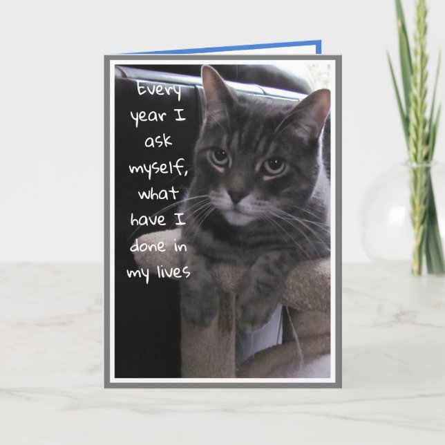 Funny Birthday Cat Card (Front)