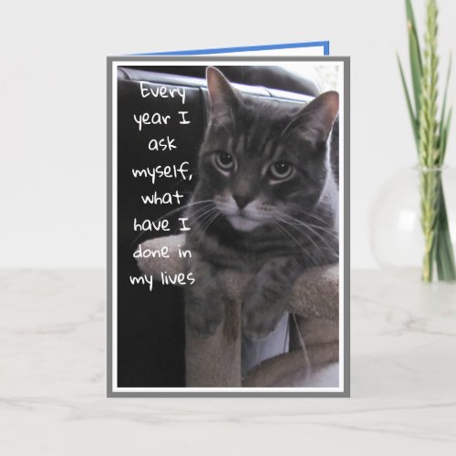 Funny Birthday Cat Card