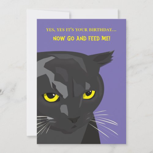 Funny Birthday Cat Card Invitation