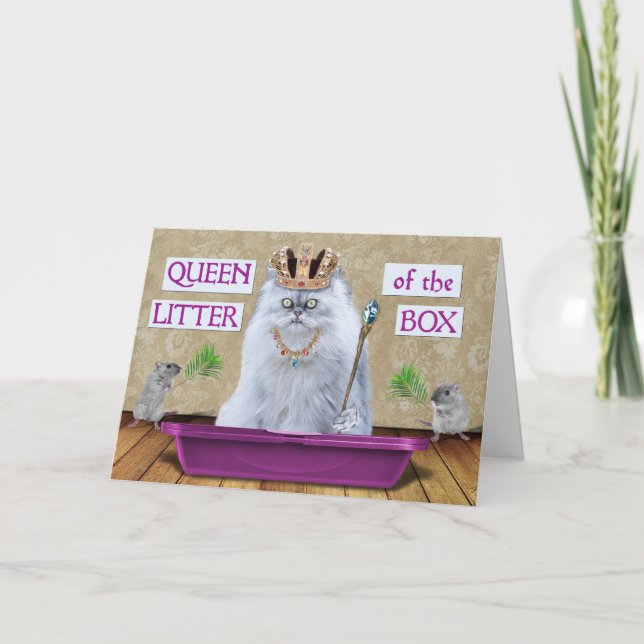 Funny Birthday Cat Queen of the Litter Box Humor Card (Front)