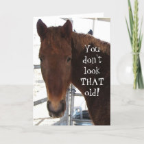 Funny Birthday Compliment TWH Horse Western Card