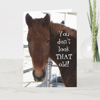 Funny Birthday Compliment Twh Horse Western Card by She_Wolf_Medicine at Zazzle