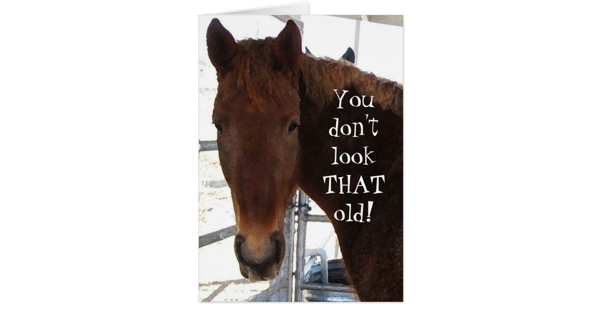 Funny Birthday Compliment TWH Horse Western Card