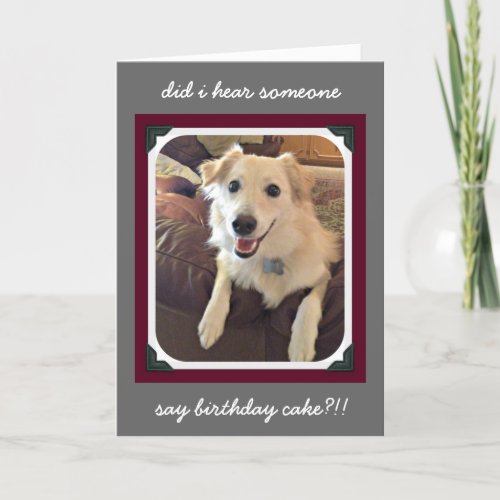Funny Birthday Cute Dog birthday cake wishes Card
