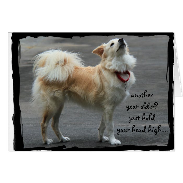 Funny Birthday, Cute Dog, Over the Hill Greeting Cards