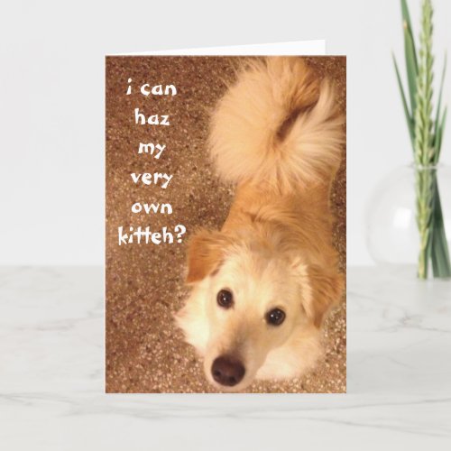 Funny Birthday Cute dog wishes for birthday cat Card